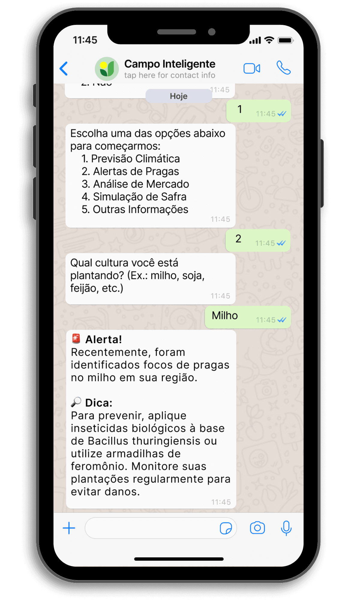 Menu do ChatBot